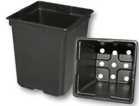 SVD 550 Black 200/cs - Square Pots